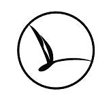 dragonfly aircraft model